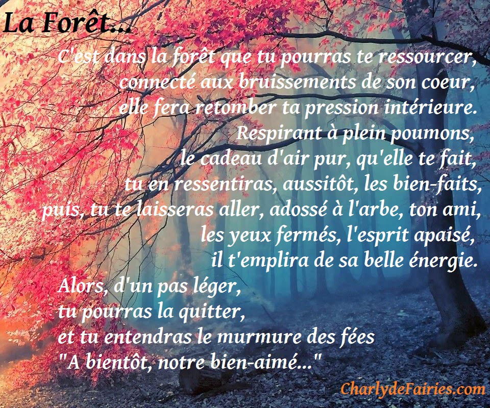 Poème – La Forêt des fées